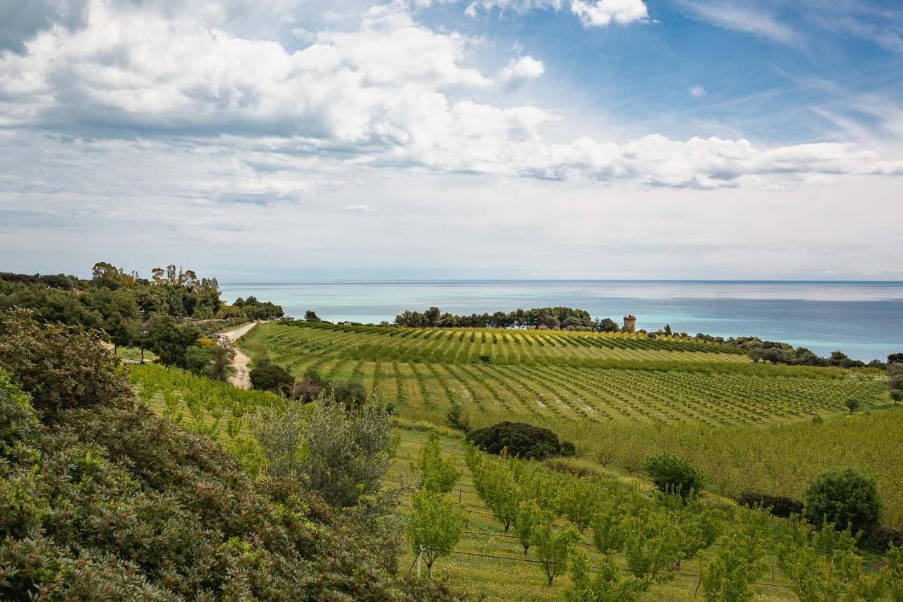 Masseria Agriturismo Torre Di Albidona Trebisacce Buitenkant foto